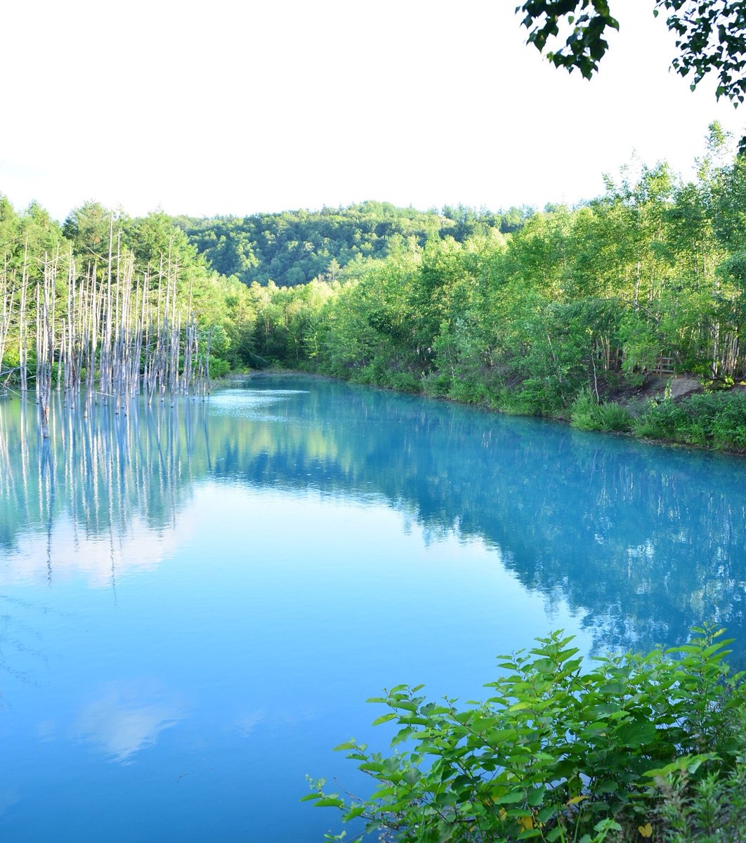 北海道 丘の町 美瑛町の神秘的な青い池と丘めぐり プライスレスドライブ Playlife プレイライフ