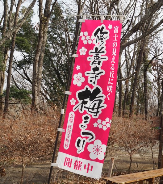 修善寺自然公園