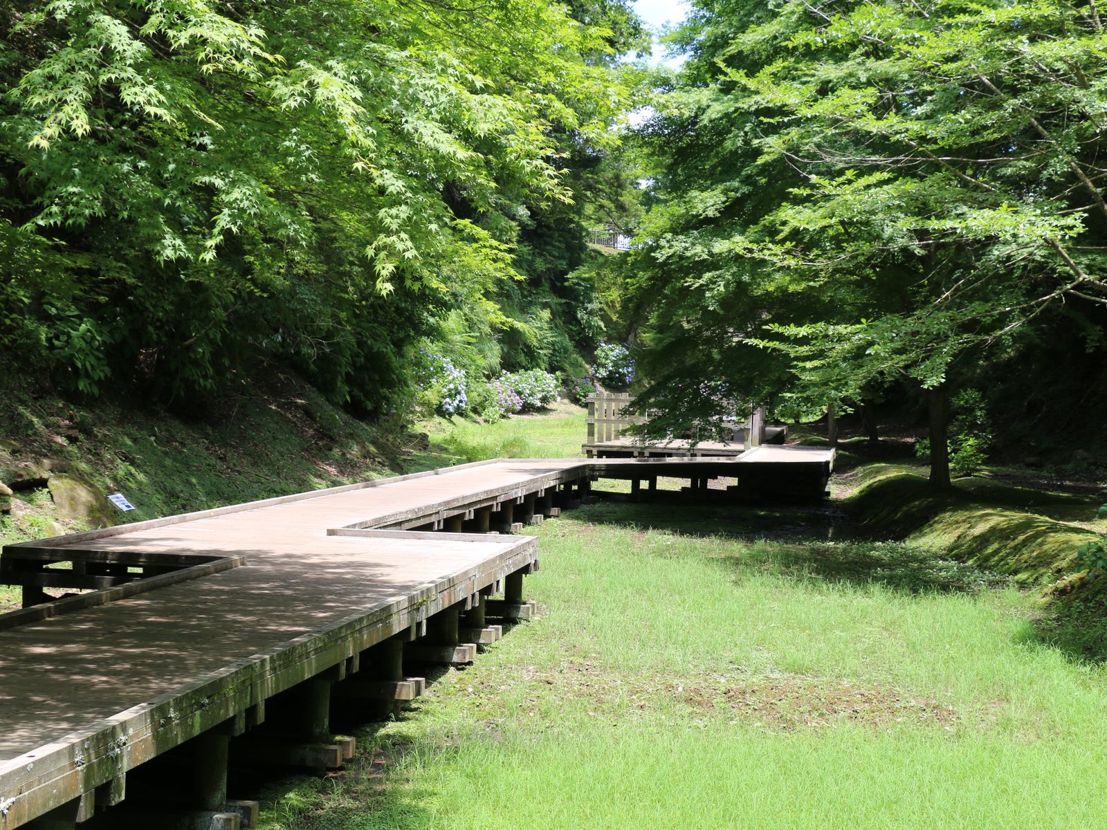 清水渓流広場