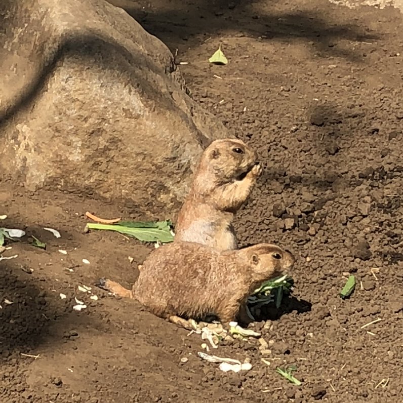 行船公園