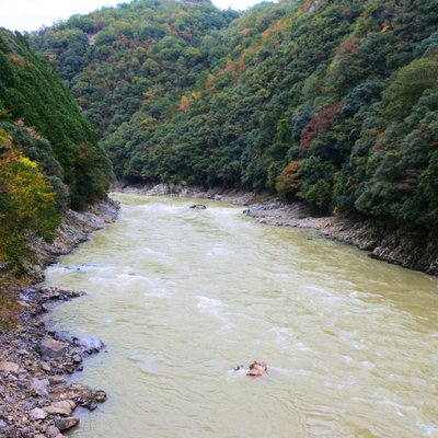 嵯峨野トロッコ列車