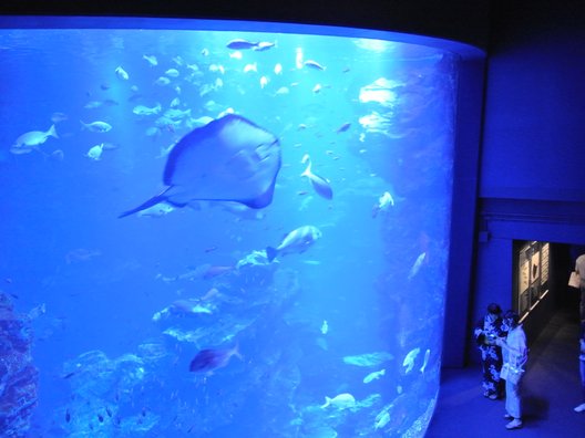 京都水族館