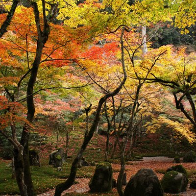 光明禅寺