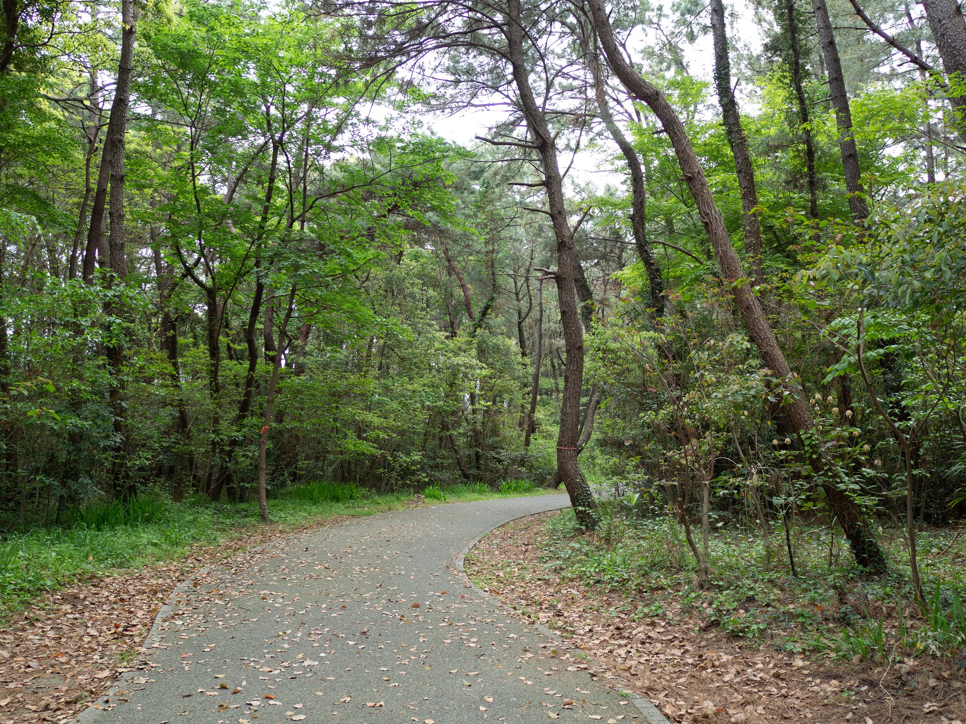 生の松原海水浴場