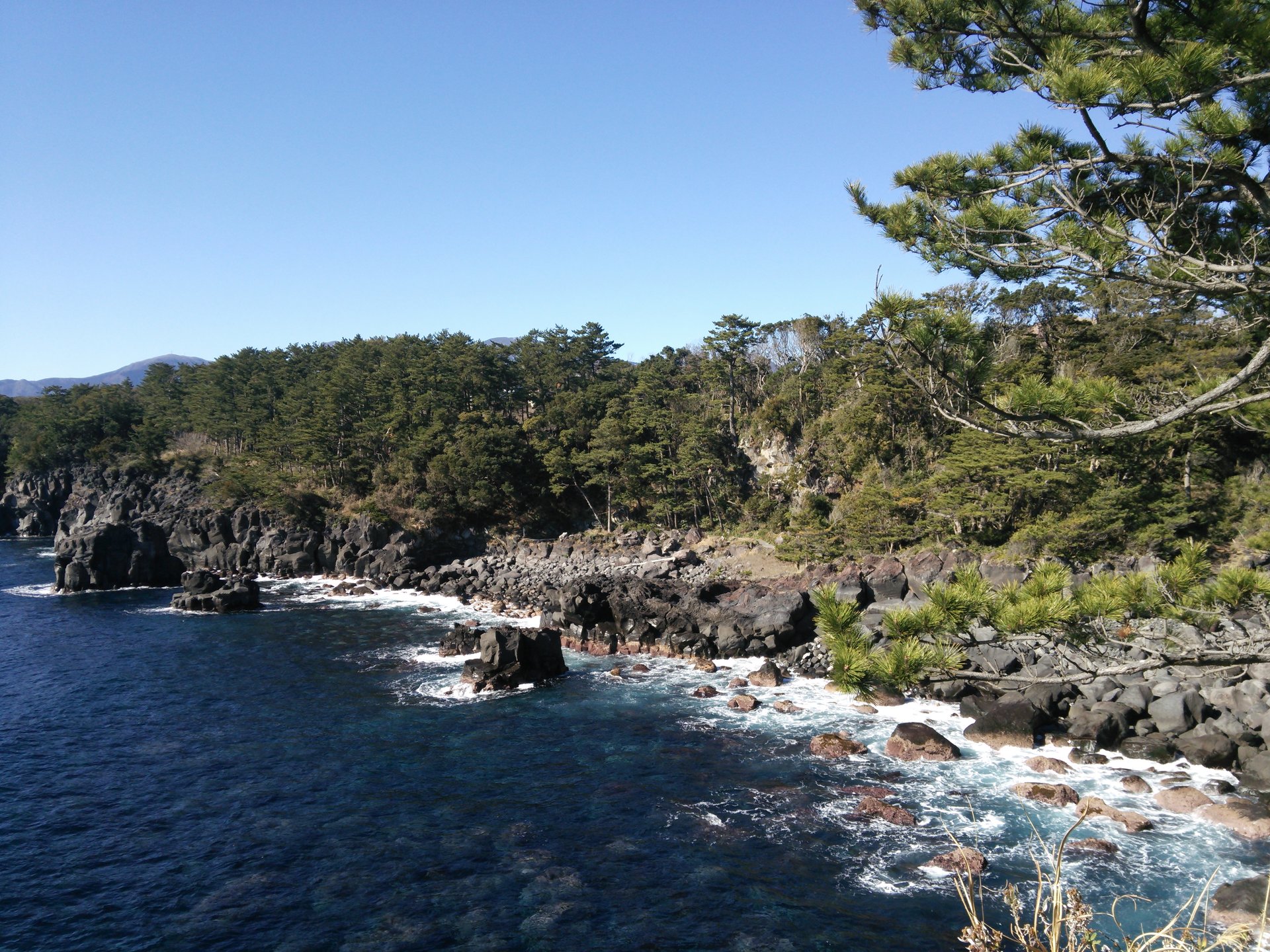 【伊豆】城ケ崎海岸ピクニカルコースを歩く！海と岩礁が織りなす絶景を見よう！
