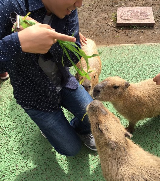 シャボテン公園/東海バス