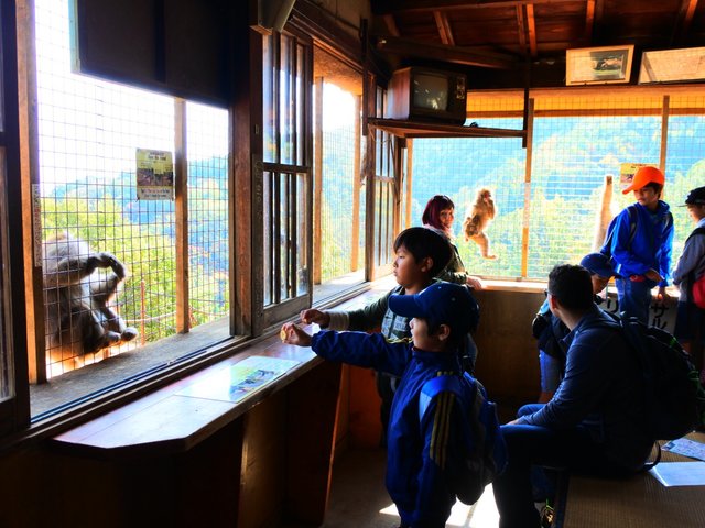 3児の母が選ぶ 子連れで楽しめる京都おすすめ観光スポット17選 Playlife プレイライフ