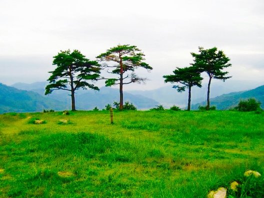 竹田城跡