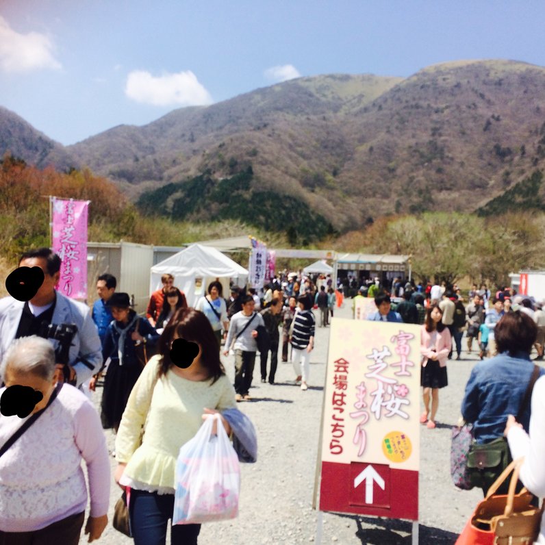 富士芝桜まつり会場