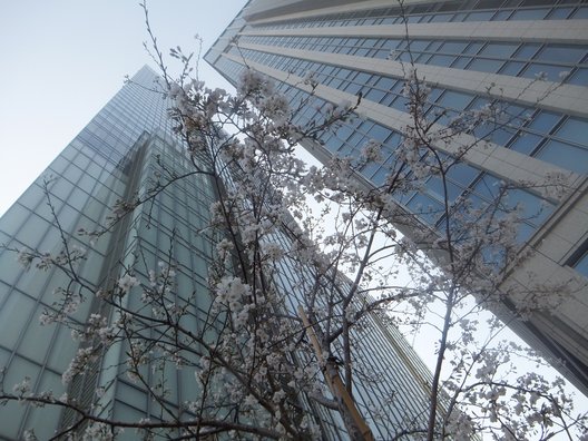 東京駅