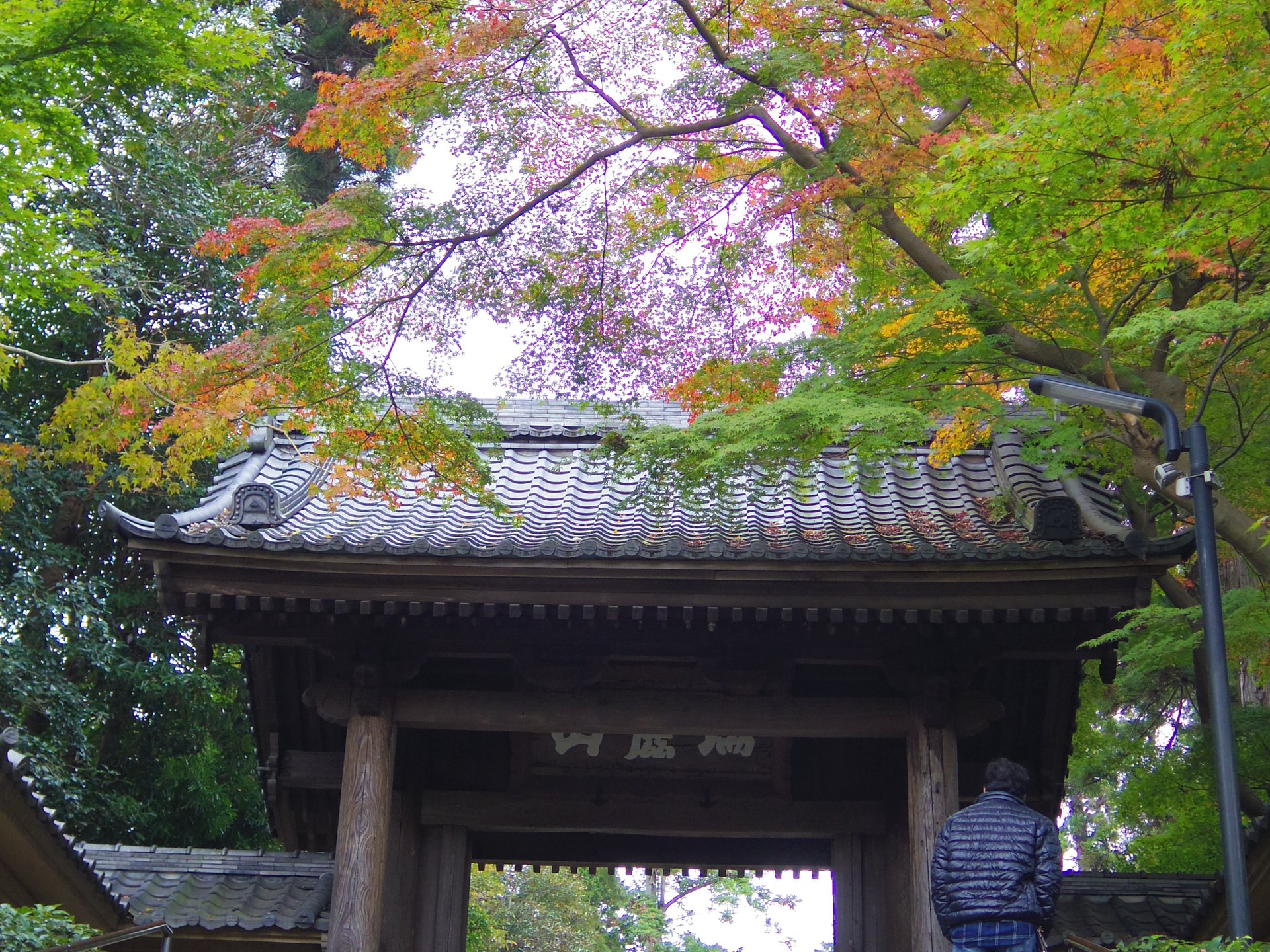 【鎌倉さんぽ】秋の絶景は鎌倉にアリ！格式あるお寺「円覚寺」は紅葉の名所だった！