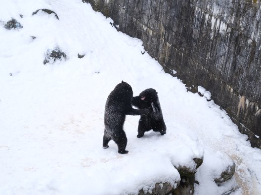 奥飛騨クマ牧場