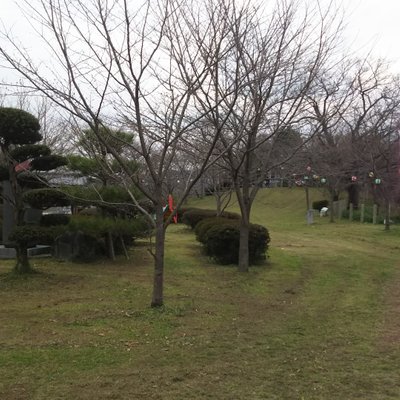 城山公園(御船町)