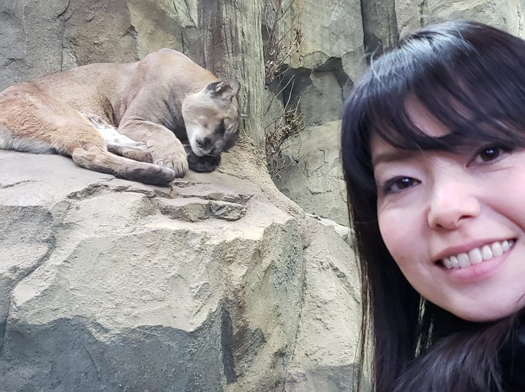 神戸どうぶつ王国でスナネコの赤ちゃん 三ノ宮駅近くの美味しい明石焼き ケーキの美味しいカフェ Playlife プレイライフ