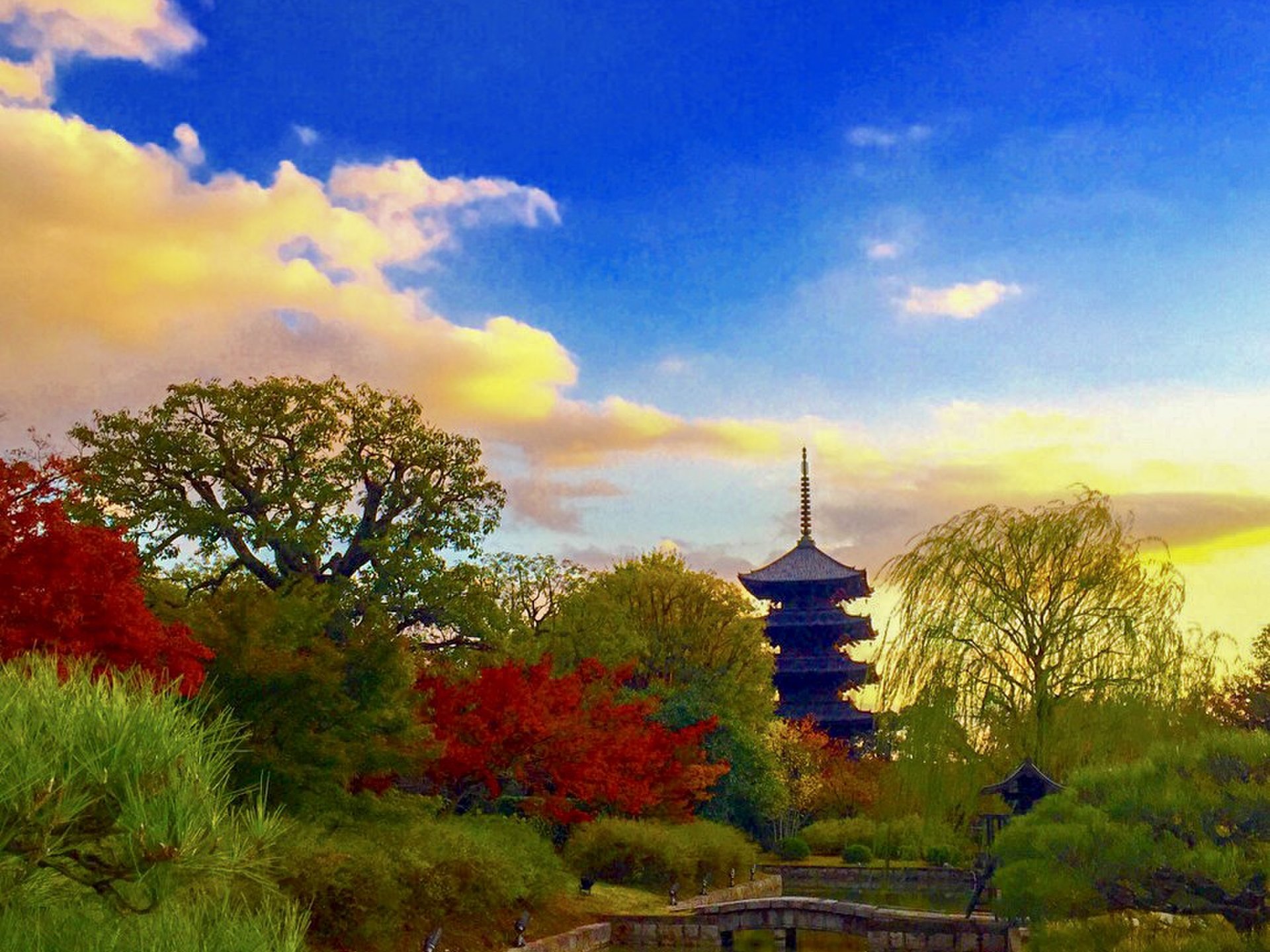 京都フォトジェニックスポット巡り 1日ですべてまわれる 京都で写真を楽しむ旅