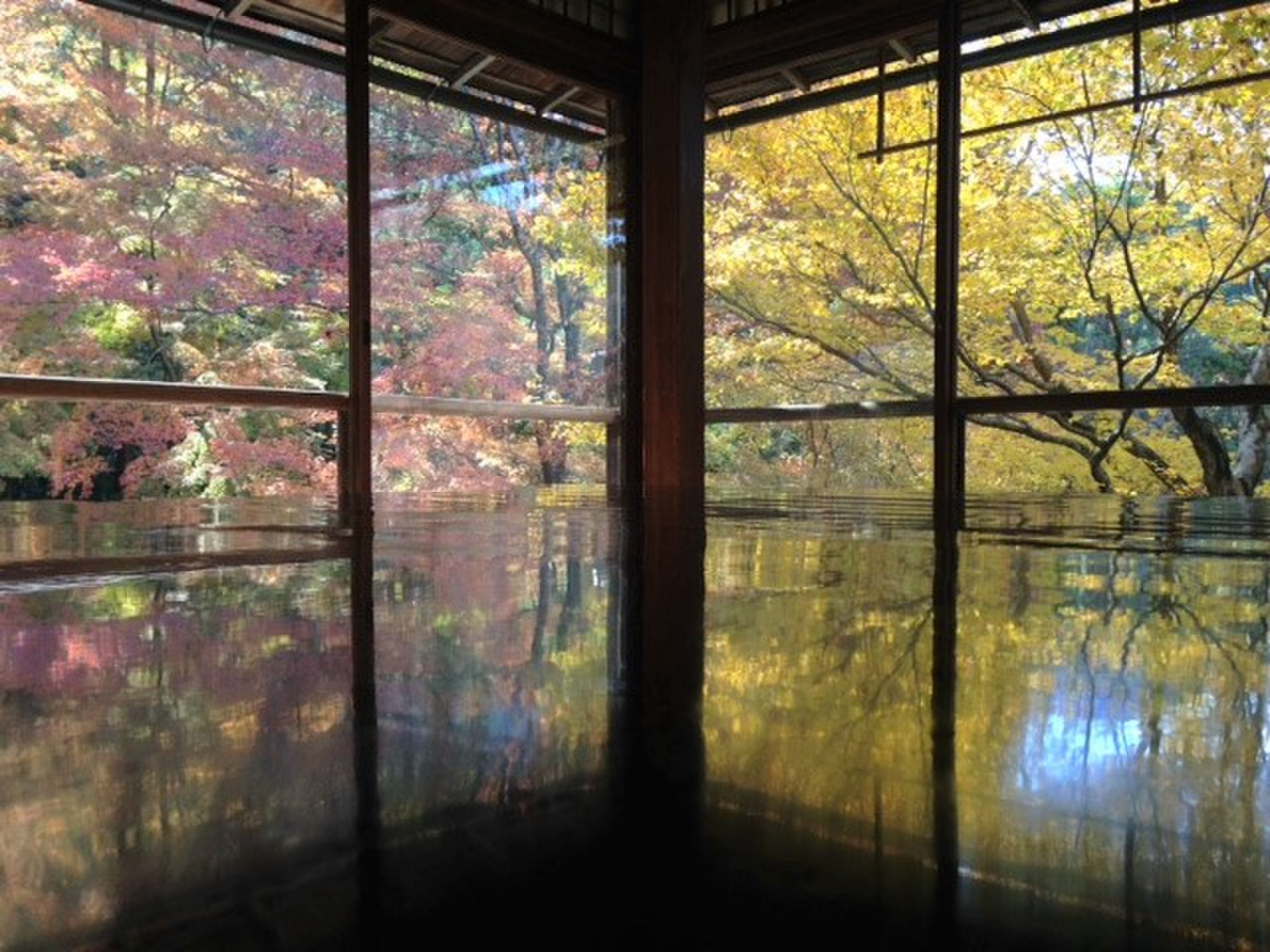 【紅葉の京都フォトジェニックNO1】瑠璃光院の反射する紅葉が凄い！苔の庭も見応えあり。