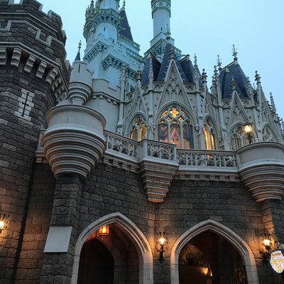 東京ディズニーランド(c)