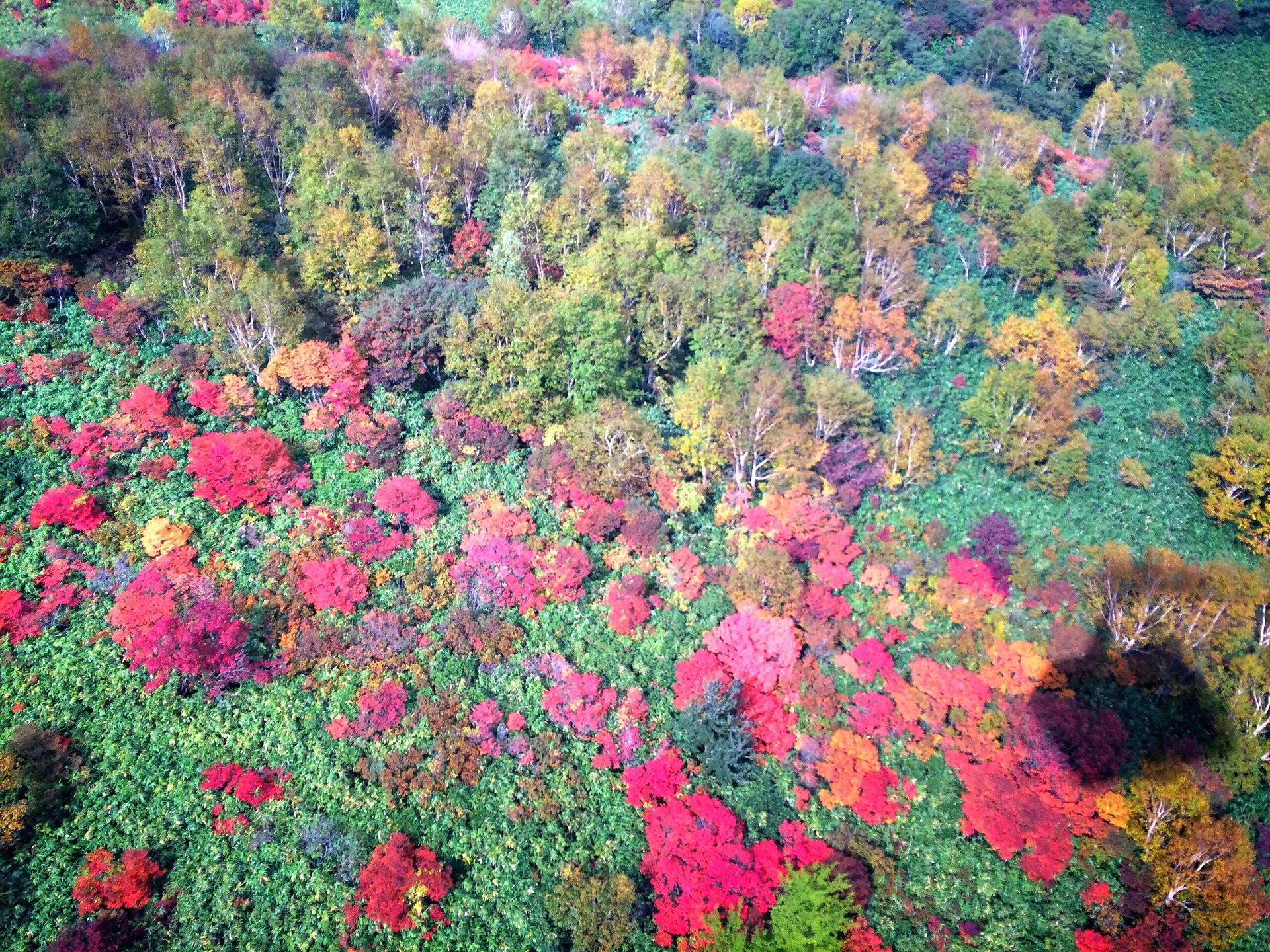 【秋デートにオススメ♪】"那須ロープウェイ"から見下ろす那須連山の紅葉が絶景すぎる！