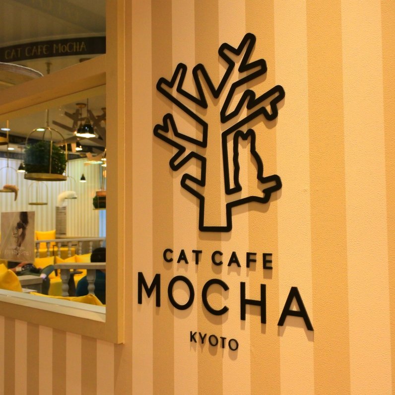 猫カフェ MOCHA 京都河原町店