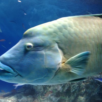 おたる水族館