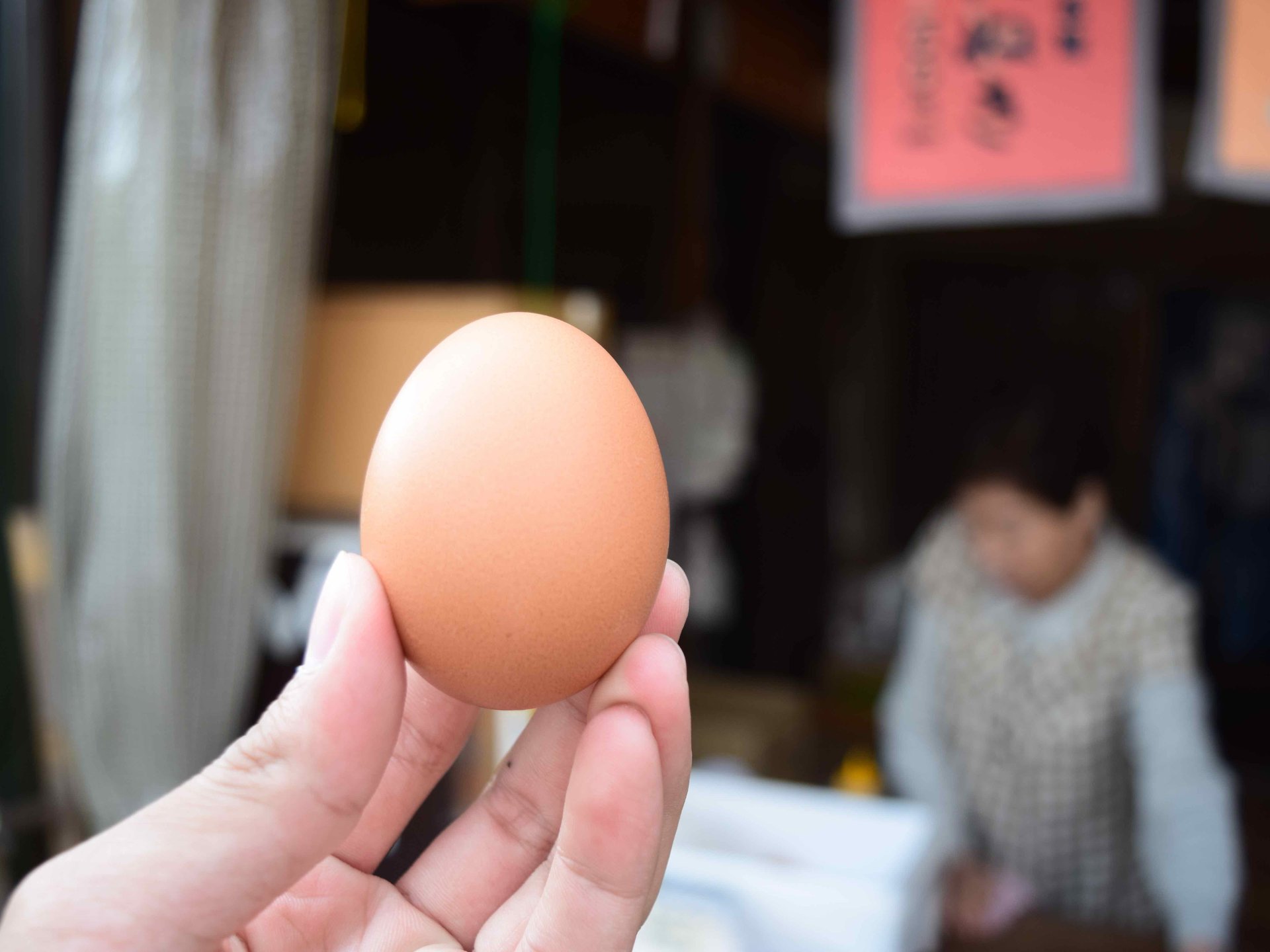 【嵐山】青空の下で食べる「卵専門店」の最高の卵料理は一度は食べないと後悔する！