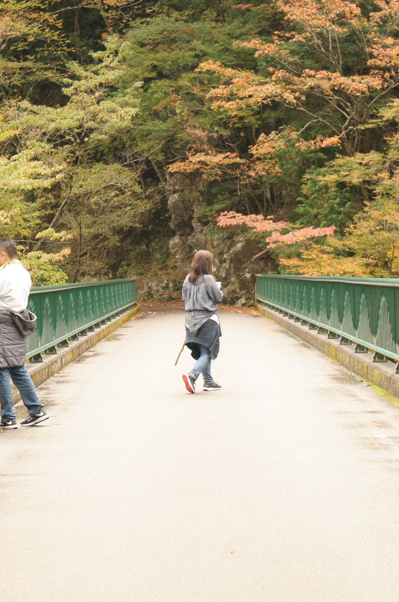 飛龍橋