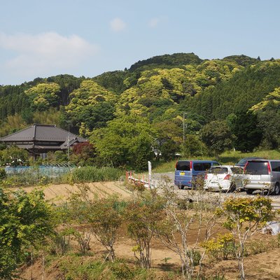 養老渓谷