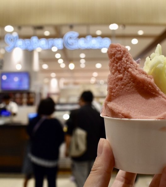 やんばるジェラート サンエーパルコシティ店 