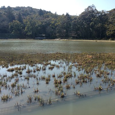 式年遷宮記念せんぐう館