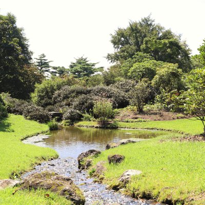 赤城自然園