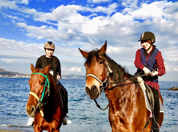 海岸乗馬だと ホーストレッキング横須賀の乗馬体験が超映える Playlife プレイライフ