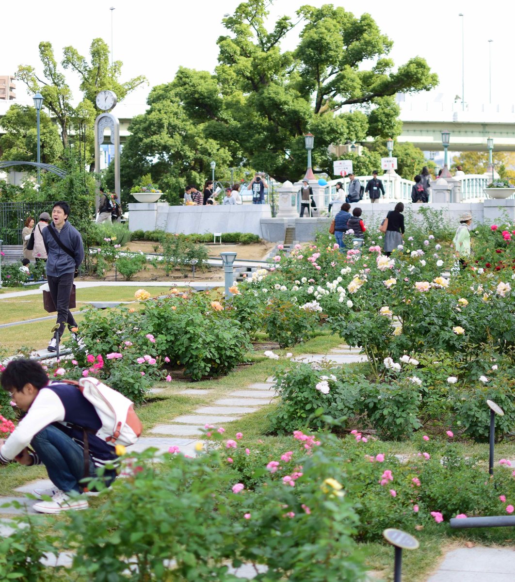 中之島公園