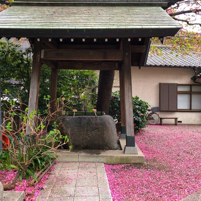 蔵前神社