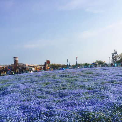 長井海の手公園ソレイユの丘