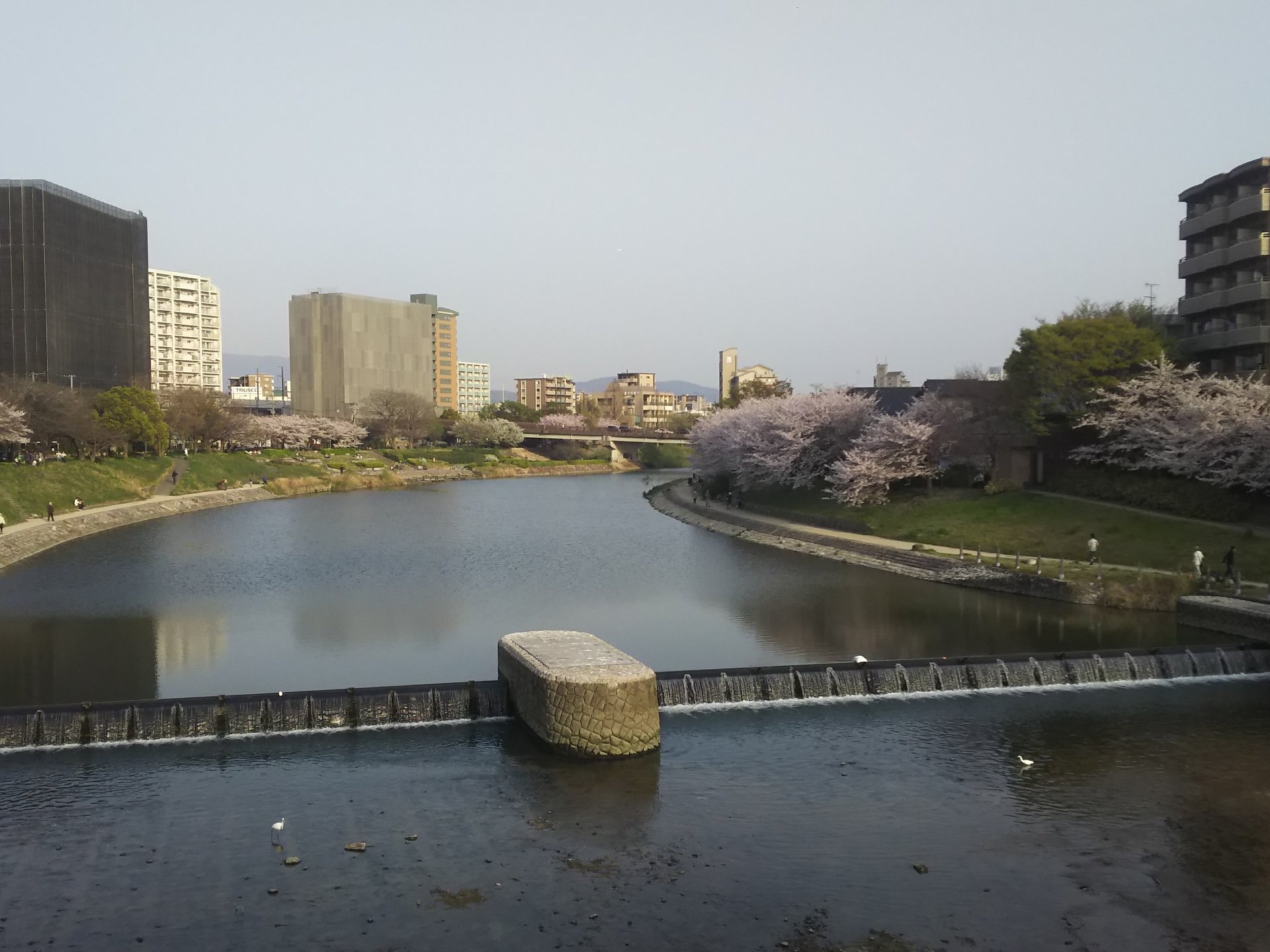 第37号那珂川河川緑地