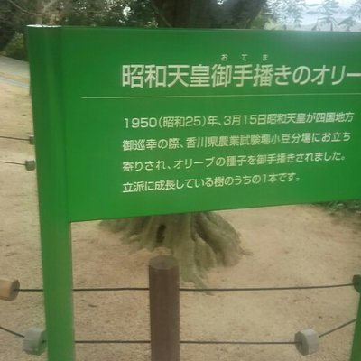 小豆島オリーブ園