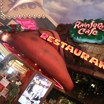 レインフォレストカフェ・トーキョー （Rainforest cafe）