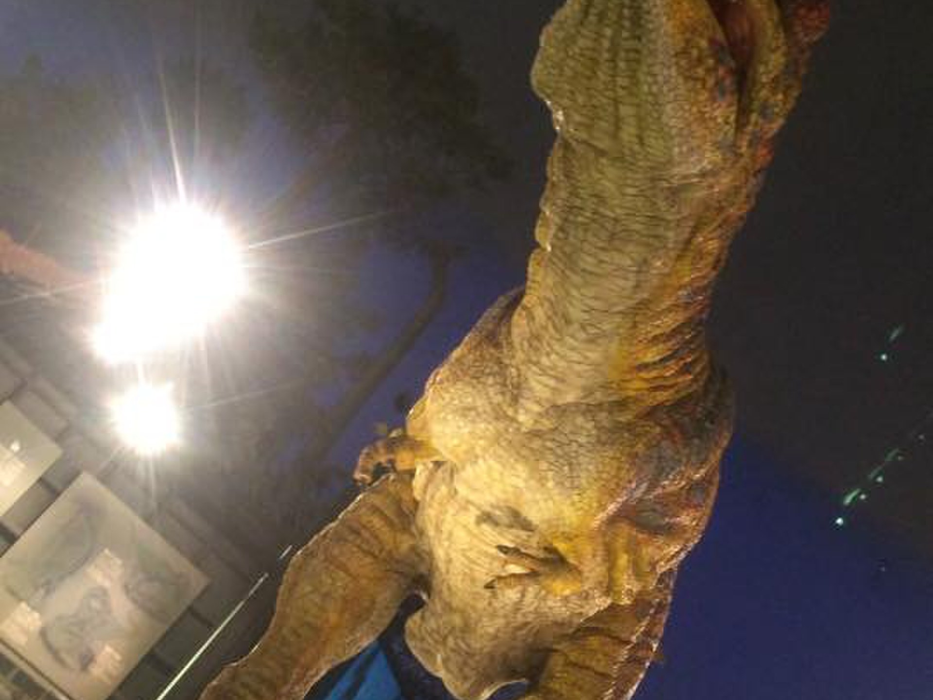 【福井県の人気観光スポット】平泉寺の千年の景色！白山恐竜パークで一億年前に存在した恐竜を見に行こう！