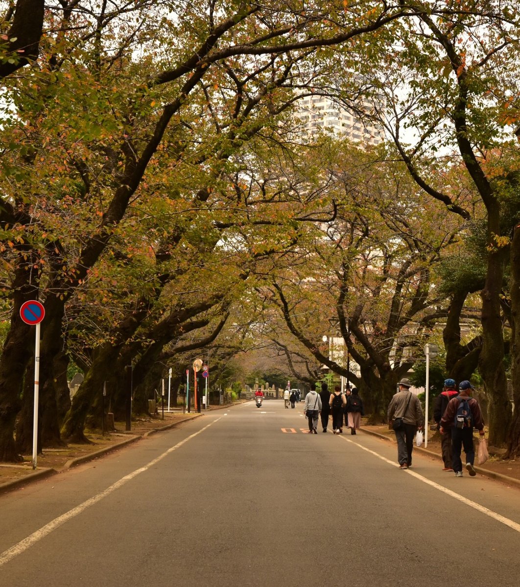 谷中霊園