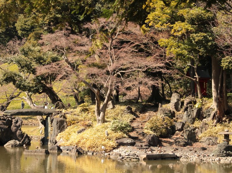 小石川後楽園 蓮莢島の観光情報（見どころ・評判・アクセス等 