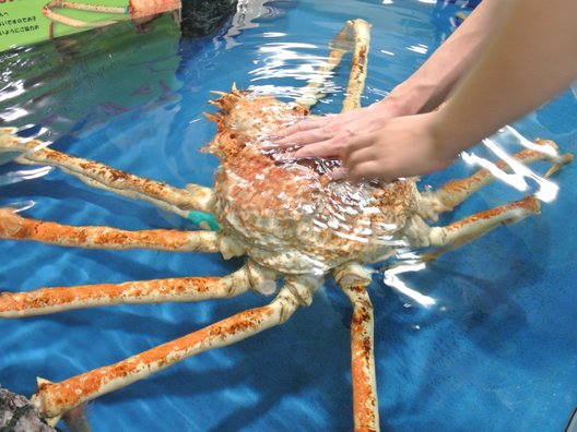 竹島水族館