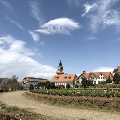 山梨県立フラワーセンターハイジの村