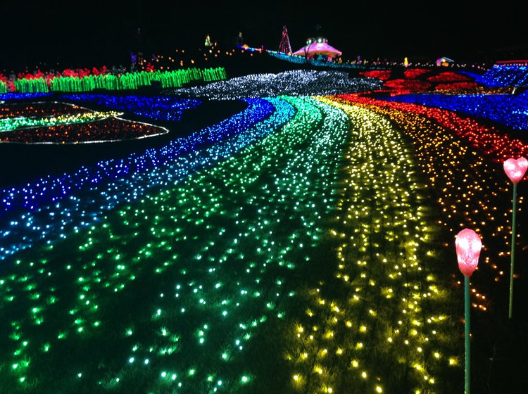 デートにぴったり 0万球のledが光り輝く 東京ドイツ村 の14年イルミネーション情報 Playlife プレイライフ