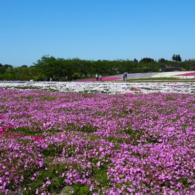 富田さとにわ耕園