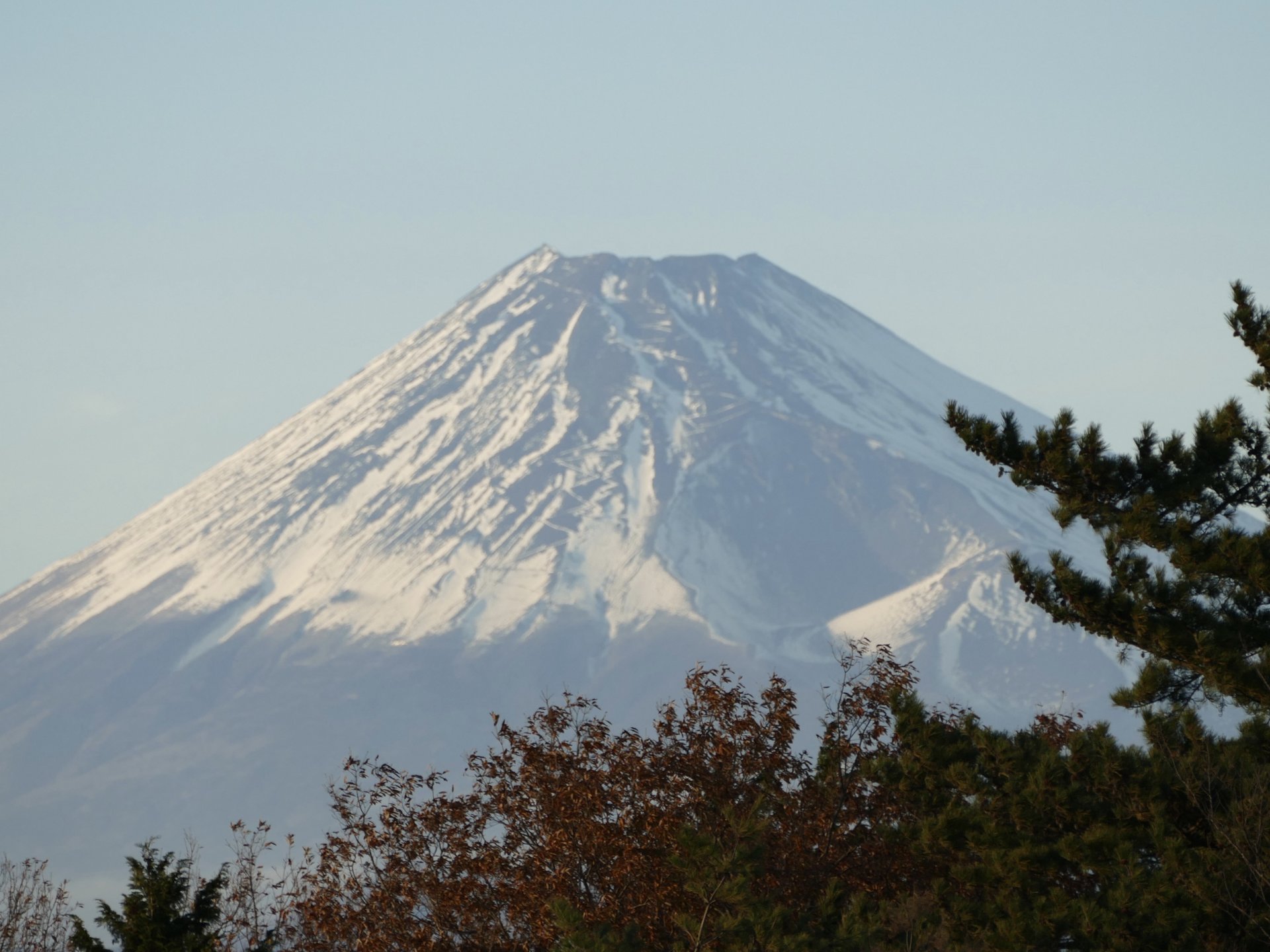 富士山が見える贅沢ホテル「伊豆マリオットホテル修善寺」都内アクセス良好・観光にも