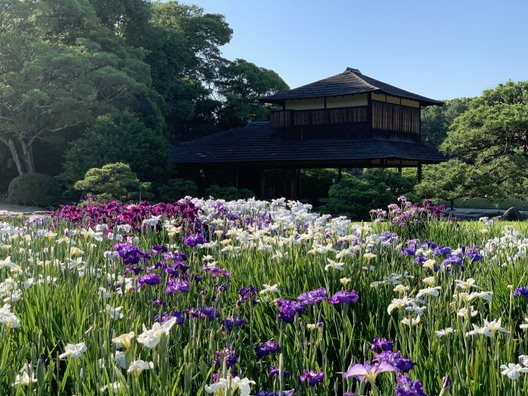 岡山後楽園