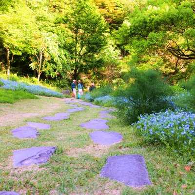 神戸布引ハーブ園