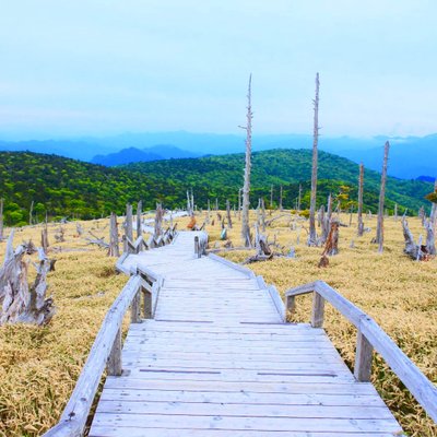 大台ケ原(日出ヶ岳)