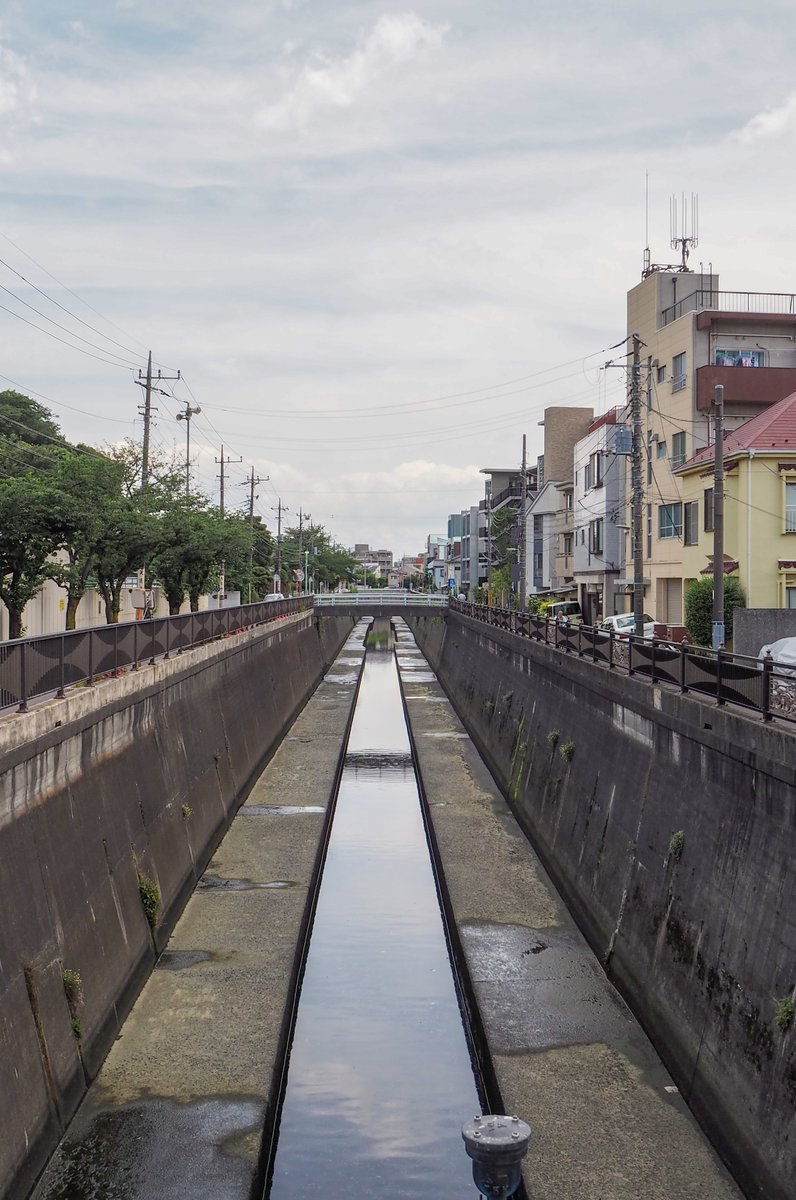 池上本門寺参道の碑