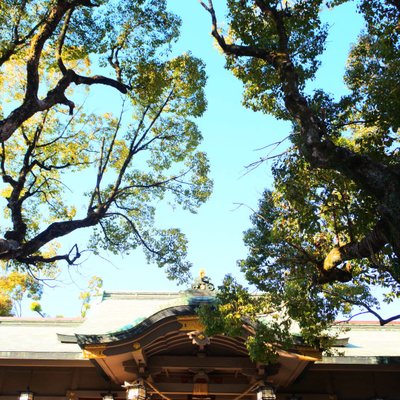 高津宮(高津神社)